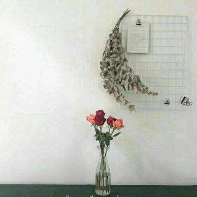 仙语手游下载